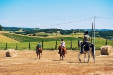 Esperienza di primo contatto con il cavallo e introduzione alla sella per bambini nei pressi di Trento.