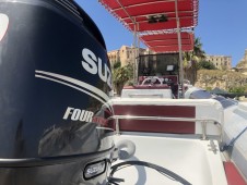 Tour in barca Tropea