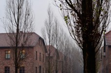 Auschwitz-tour con transfer privato da Cracovia