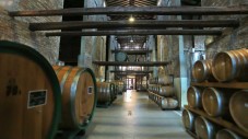 Visita cantina e degustazione 5 vini con tagliere | Friuli