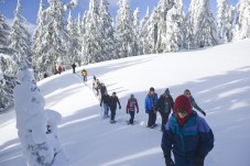 Buono Regalo: Weekend Magico in Val di Funes: 2 Notti e Ciaspolata ai piedi delle Odle