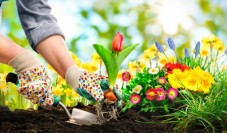 Corso Online Giardinaggio