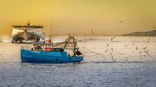 Corso di cucina sul pesce di lago con Pesca e Soggiorno in Suite 