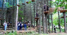 Soggiorno nelle tree houses