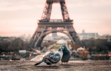 Tour privato di Montmartre e Sacre Coeur