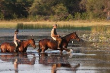 Passeggiata a Cavallo in Toscana sul Fiume Era