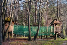 Avventura ed emozioni al Parco Cerwood 