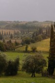 Soggiorno premio di coppia a Siena 