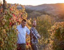 Visita guidata e Degustazione di Vini per gruppi Azienda Agricola Calatroni