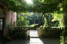 Giardini segreti del tour a piedi di Venezia