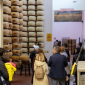 Tour e Degustazione alla Fabbrica di Parmigiano Reggiano a Maranello