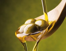 Educational Tour olio extra vergine d’oliva