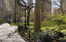 Tour in bici a Central Park