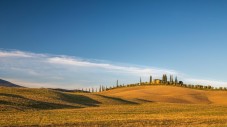 Tour Guidato: da Firenze a Siena, San Gimignano, Monteriggioni e Chianti