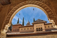 Visita all'arena di Las Ventas e al museo taurino con audioguida