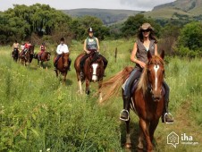 Passeggiata a Cavallo e servizio navetta - La Spezia