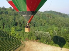 In mezzo al verde