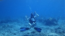  IMMERSIONE PER UN GIORNO ALL'ARGENTARIO