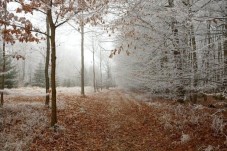 Corso Invernale di sopravvivenza in Friuli