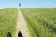 Passeggiata A Cavallo Per Due Persone