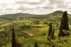 Tour in bici nella campagna toscana con pranzo e degustazione di vino