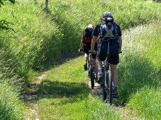 Passeggiata in bicicletta nel parco di Monza