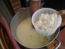 Corso di Formaggio e Ricotta