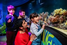Sea Life London Aquarium: biglietti 
