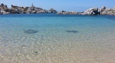 Escursione Snorkeling Sardegna e Corsica: Isola Lavezzi 