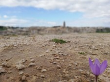 Escursione nel Parco delle Chiese Rupestri in Basilicata