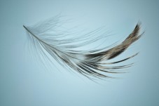 Pressoterapia con bendaggio - Torino