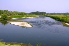 Escursione avventurosa breve in quad nel Parco del Ticino