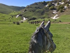Passeggiata a Cavallo & Aperitivo in Piscina in Sicilia 