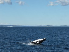 Viaggio In Islanda Per Due Persone