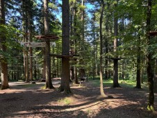 Avventura ed emozioni al Parco Cerwood 
