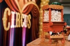 Biglietto per il Circo per Una Persona