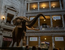 Weekend genitore e figlio a Bordeaux con ingresso al Muséum d’Histoire Naturelle e Volo Incluso