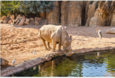 Biglietti per il Bioparco di Roma