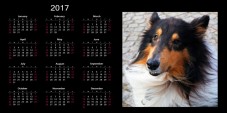 Calendario Personale