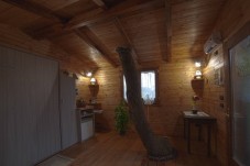 Soggiorno Relax nella Casa sull'Albero