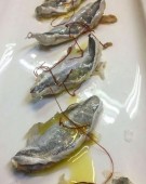 Regalo Cena Gourmet 