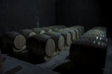 Visita guidata con degustazione di due calici di vino a Parma