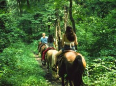 Passeggiata a cavallo - 45 min & soggiorno 1 notte