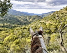 Escursione a cavallo 2 ore in Sicilia 