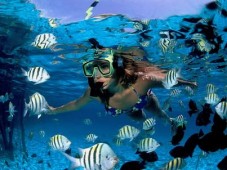 Escursione Snorkeling 