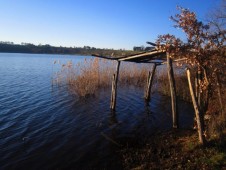 Escursione natura dentro il vulcano: Lago di Mezzano