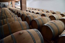 Visita Vigneti e Colline Prosecco Superiore DOCG