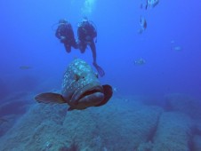Open water diver a Santa Caterina