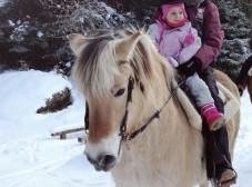 Passeggiata a cavallo da un'ora