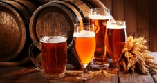 Crociera e birra artigianale sul Danubio